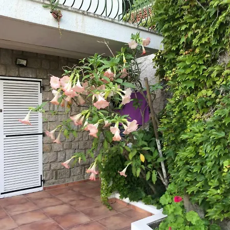 Bois Des Anglais Apartment
