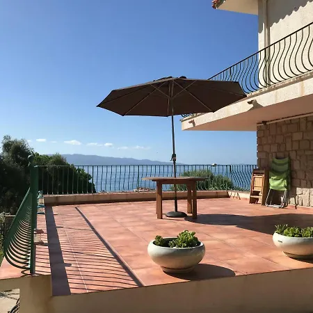 Bois Des Anglais Ajaccio (Corsica)